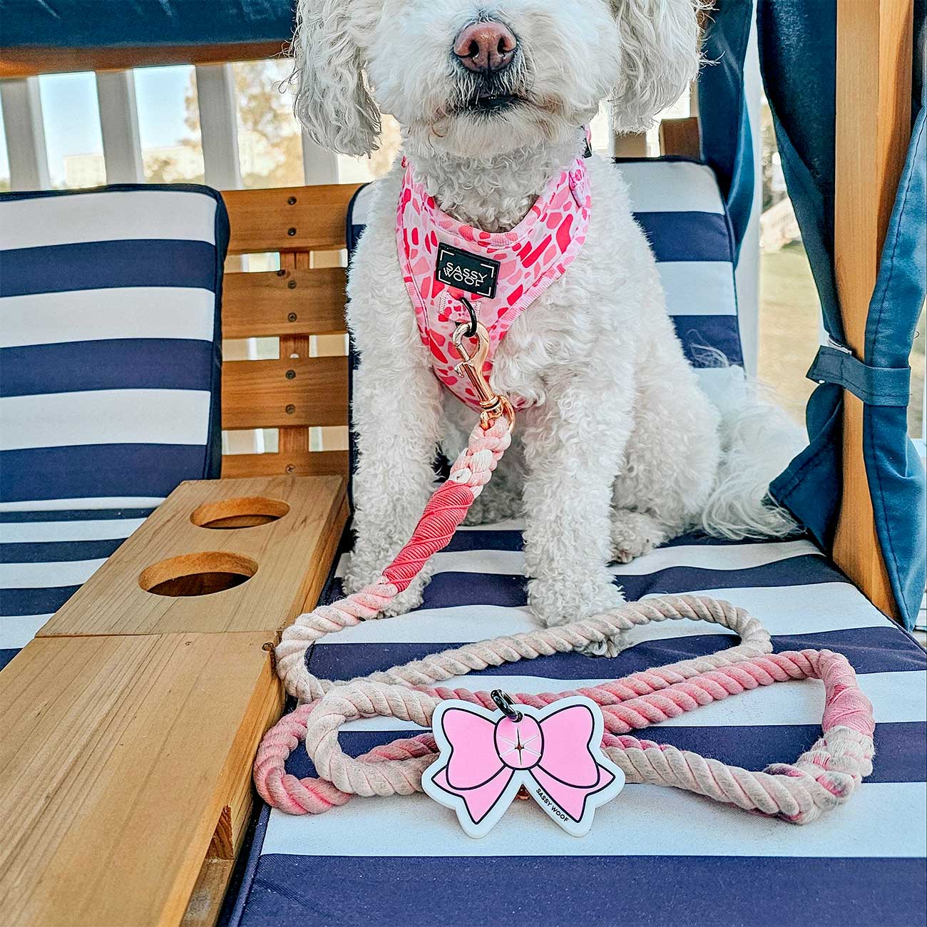 White dog wearing a pink harness and leash with a pink bow dog waste bag holder on a striped chair.