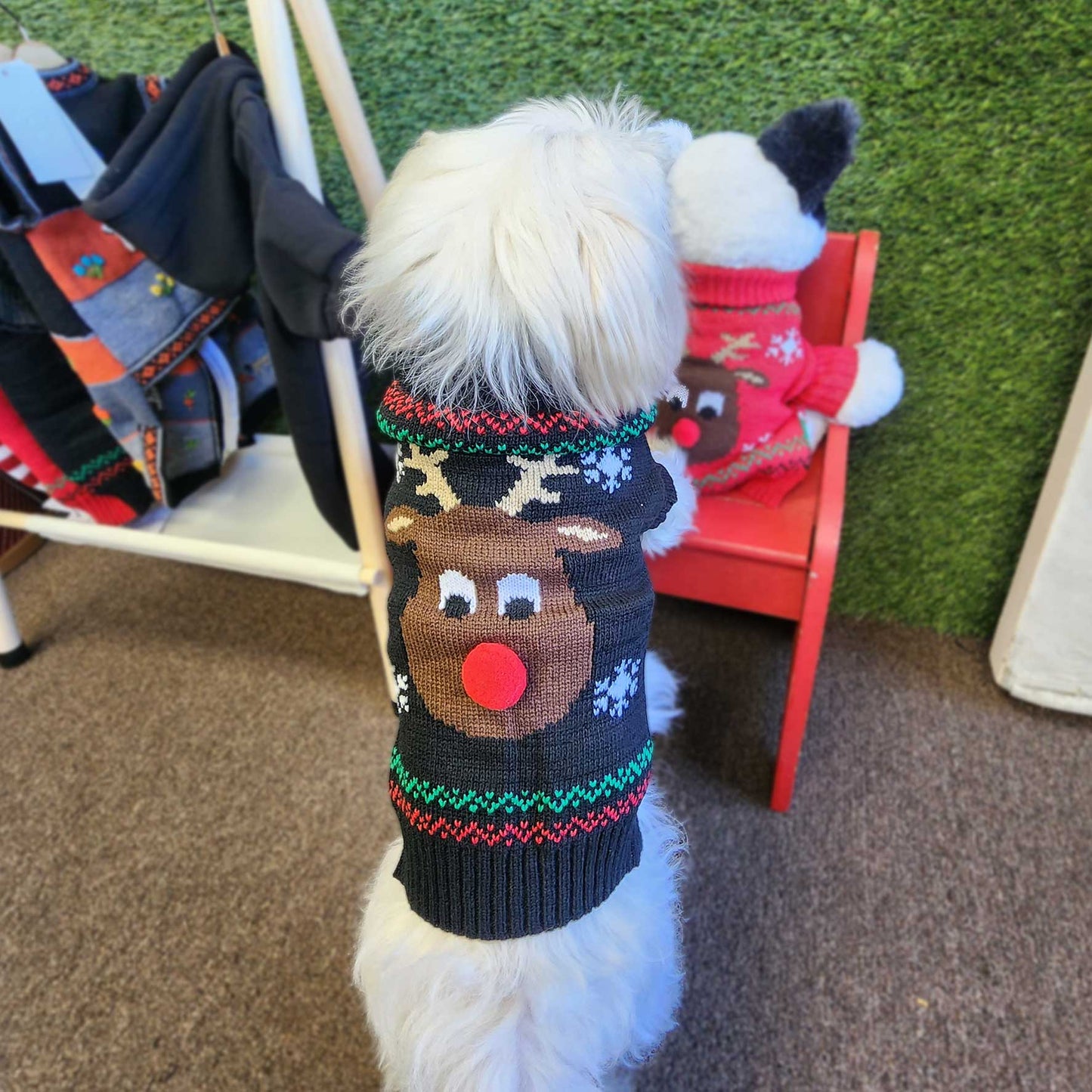 Rudolph Pet Sweater – Festive Holiday Knitwear for Small Dog Breeds
