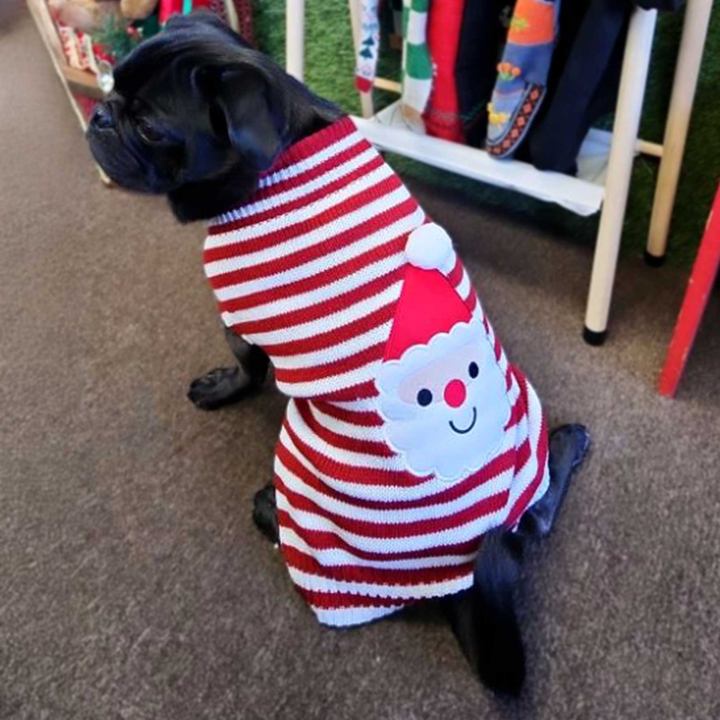Santa Claus Striped Pet Sweater – Festive Pet Holiday Apparel for Small Breeds