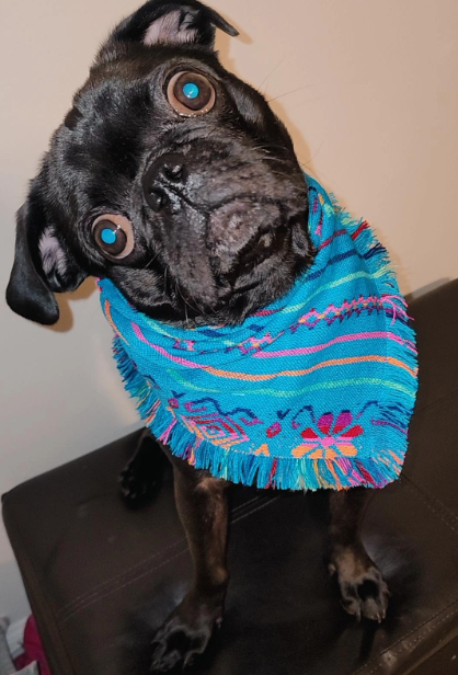Boho Bandanas
