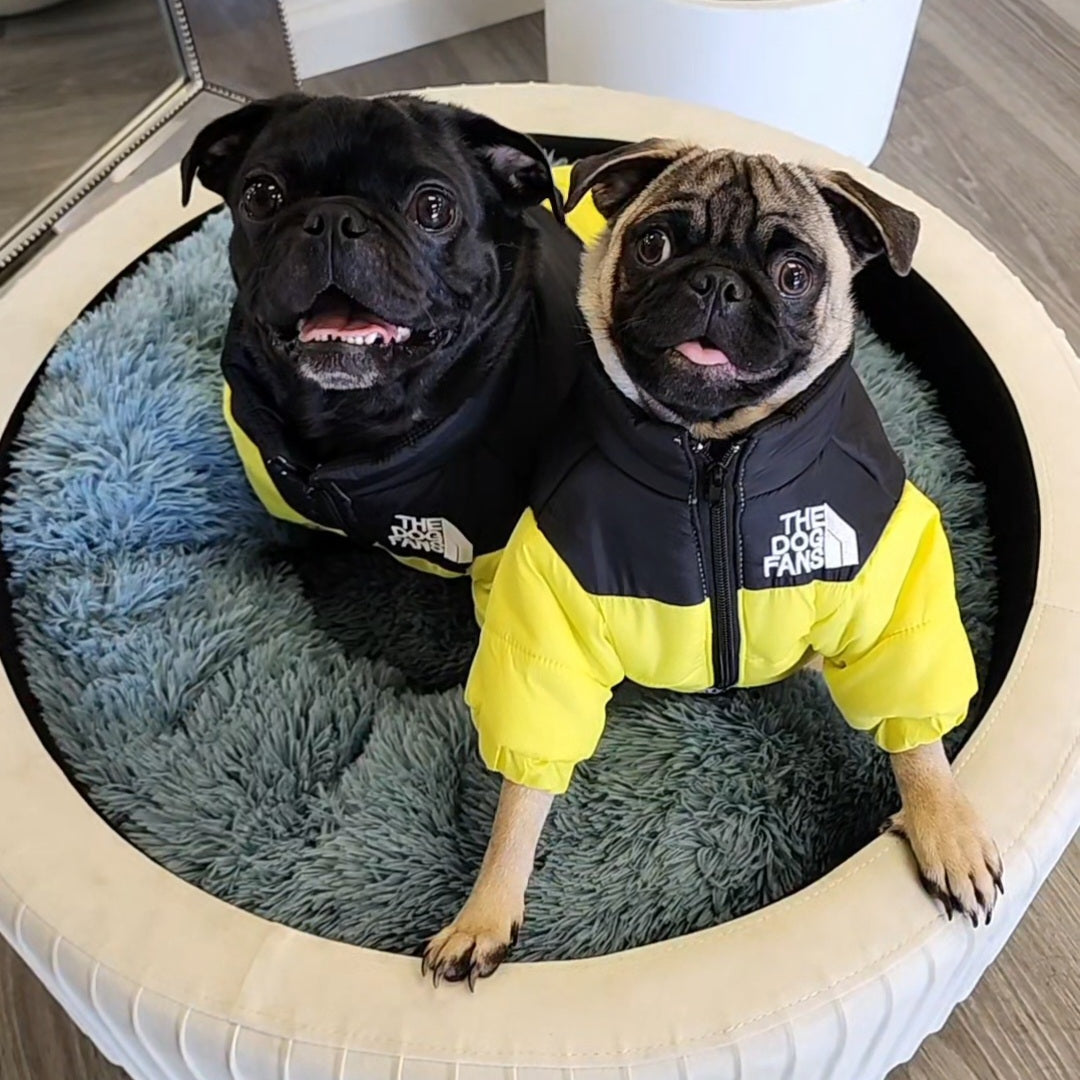 The Dog Fans Jacket