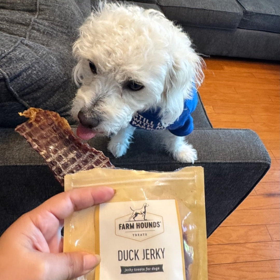 All-Natural Duck Jerky Dog Treats – 100% Pasture-raised - 3.5oz