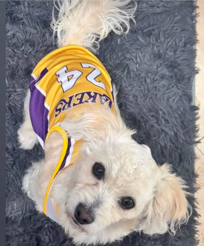 Pet Lakers Jersey