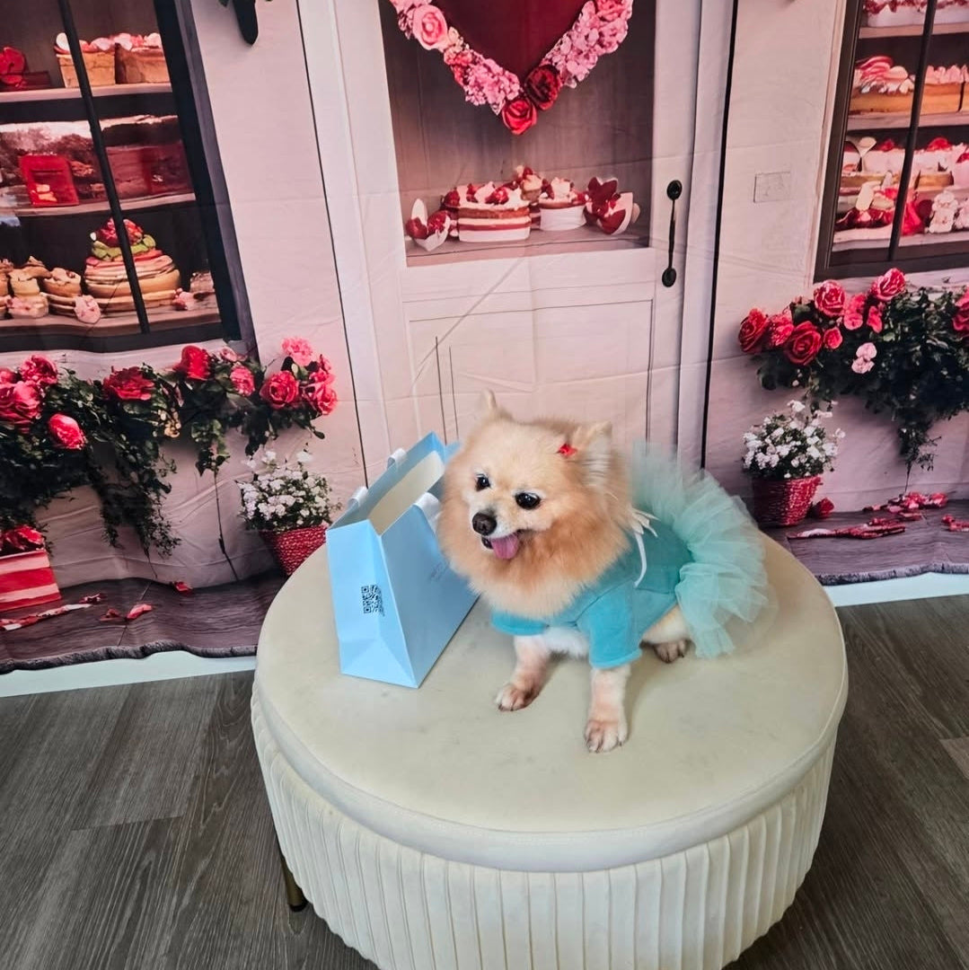 Teal Blue Princess Dog Dress – Elegant Tulle Skirt Pet Outfit for Dogs