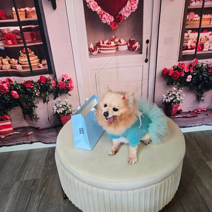Teal Blue Princess Dog Dress – Elegant Tulle Skirt Pet Outfit for Dogs