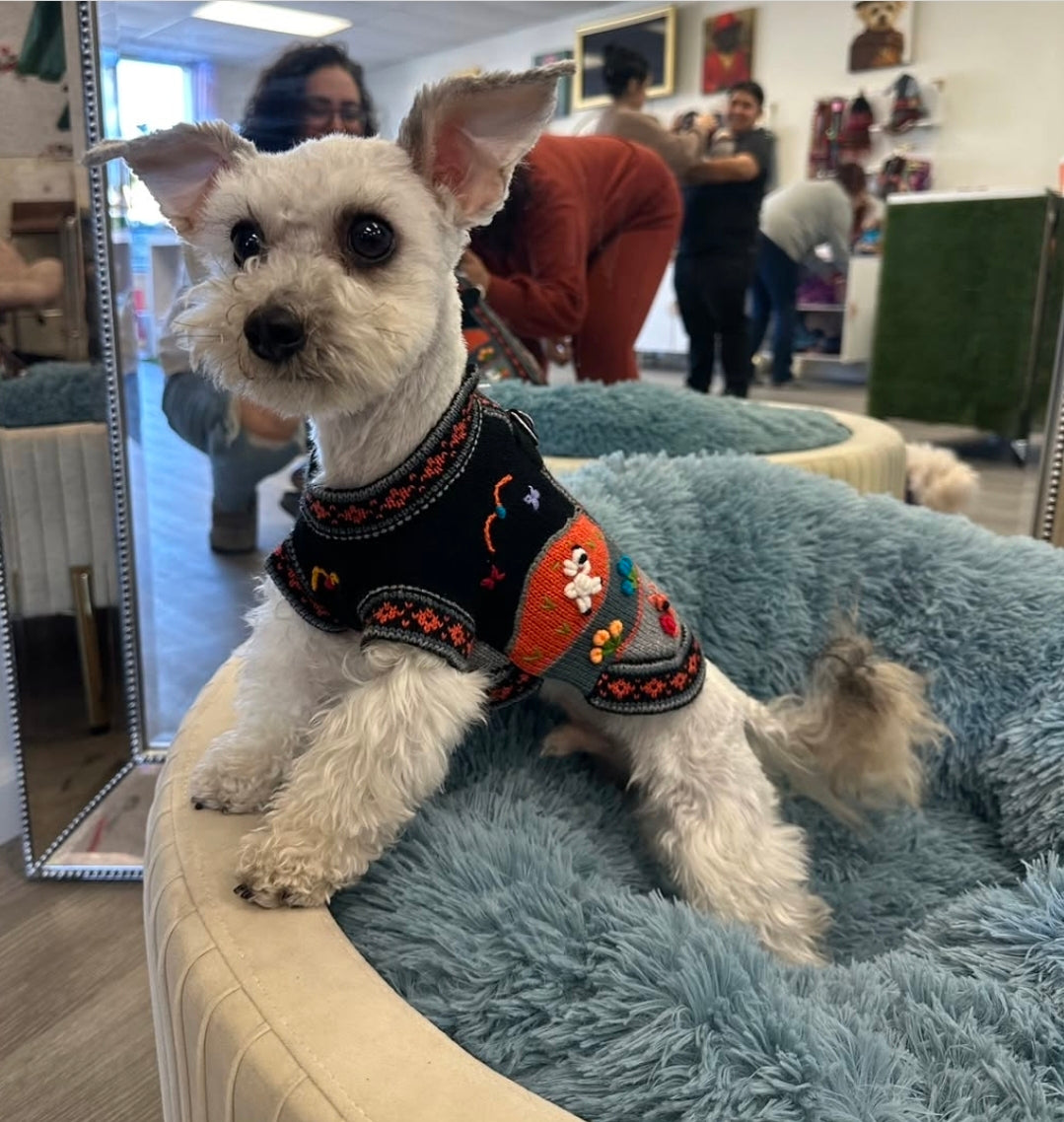 Peruvian Alpaca Pet Sweater with Zipper – Fashionable Apparel for Your Pet