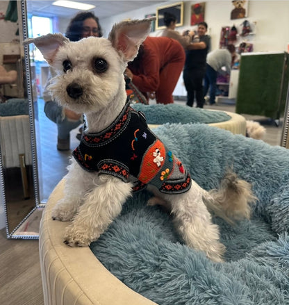 Peruvian Alpaca Pet Sweater with Zipper – Fashionable Apparel for Your Pet