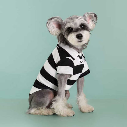 Dog wearing a black and white striped shirt on a light green background