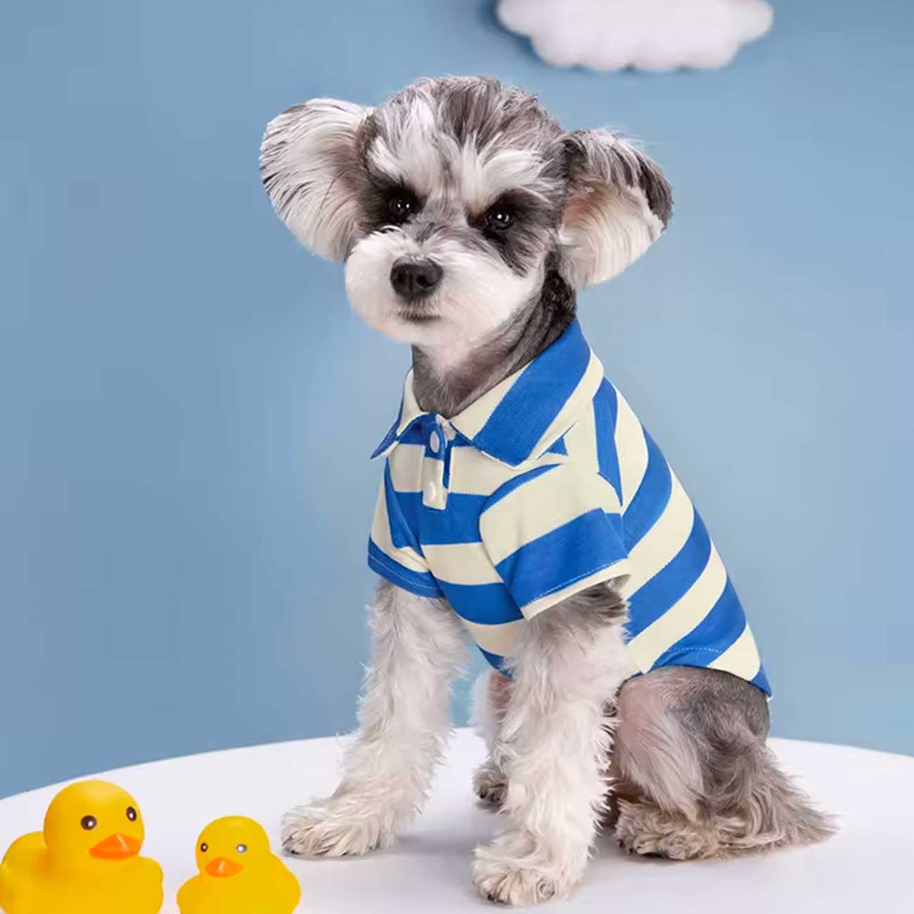 Small dog wearing a blue and white striped shirt with two yellow rubber ducks on a light blue background