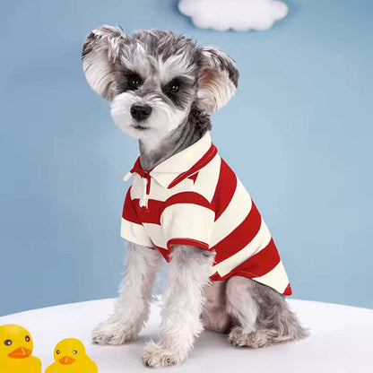 Small dog wearing a red and white striped shirt with two yellow rubber ducks on a blue background