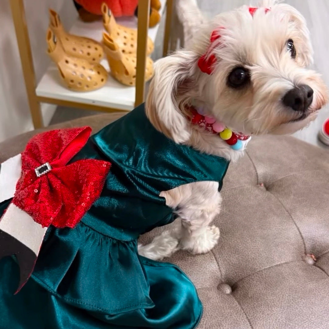 Holiday Dog Formal Dress: Green Satin with Santa Bow