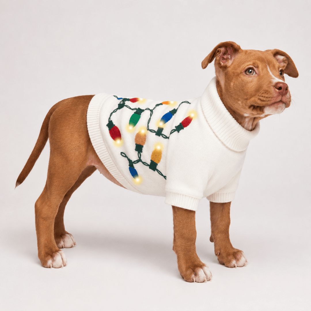 Christmas Sweater