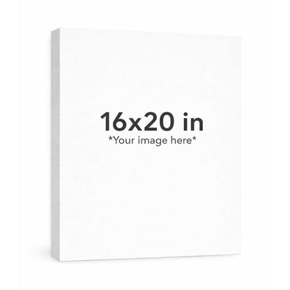 White canvas with dimensions 16x20 inches on a white background