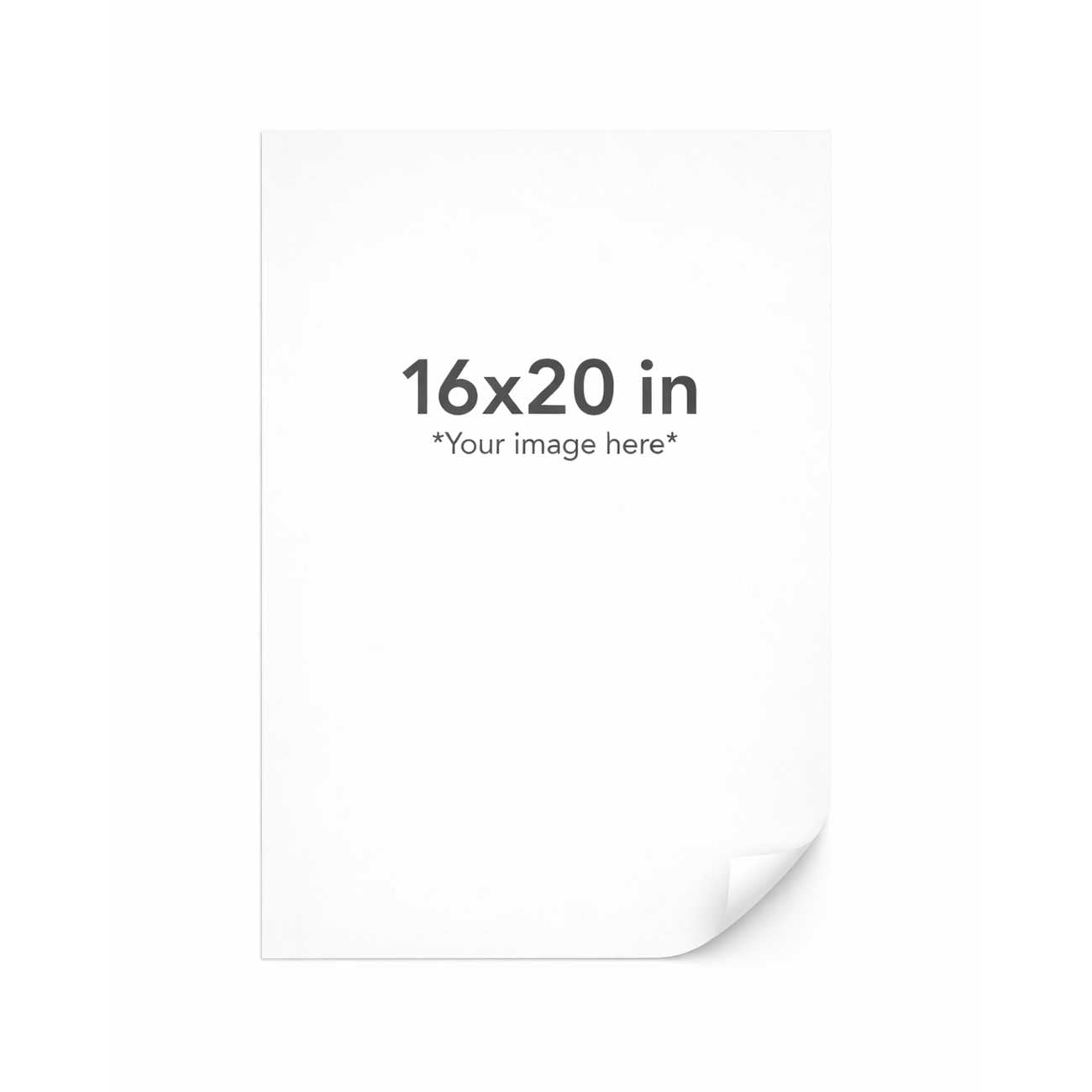 White paper sheet with dimensions 16x20 inches on a white background
