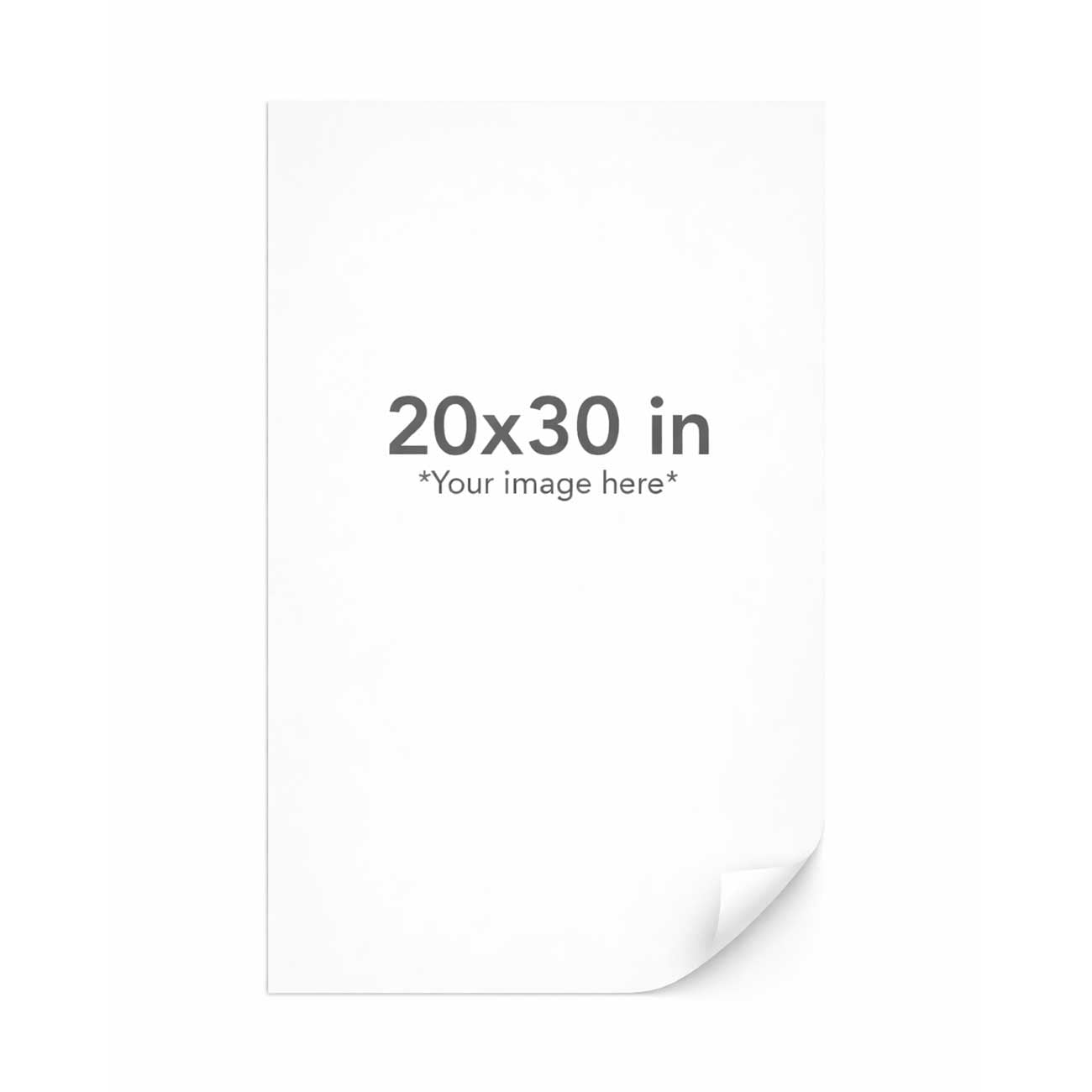 White paper with dimensions 20x30 inches and placeholder text for image insertion.
