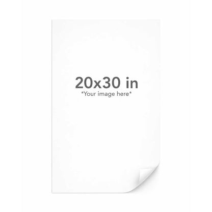 White paper with dimensions 20x30 inches and placeholder text for image insertion.