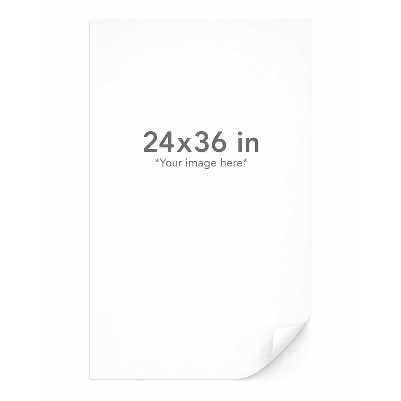 White paper with a corner curl and text indicating size 24x36 inches.