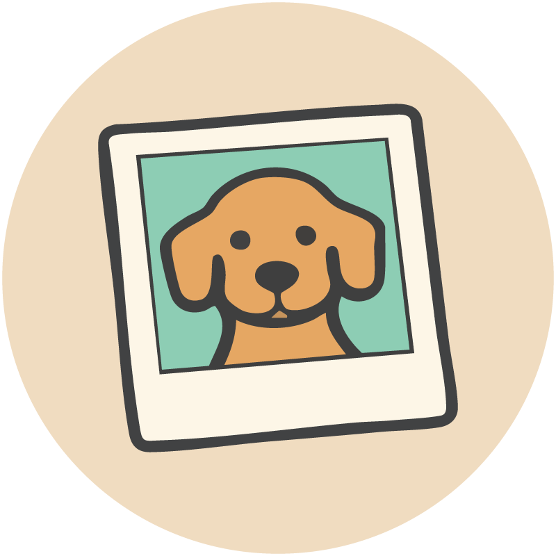 Illustration of a dog in a frame on a beige background