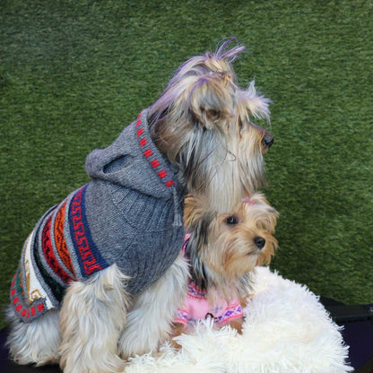 Peruvian Alpaca Pet Hoodie - Stylish and Cozy Apparel