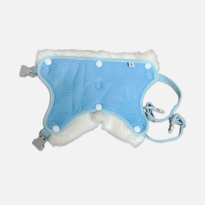 Stylish Baby Blue Pet Leash with Detachable Harness - Fashionable Walking Set for Small Pets