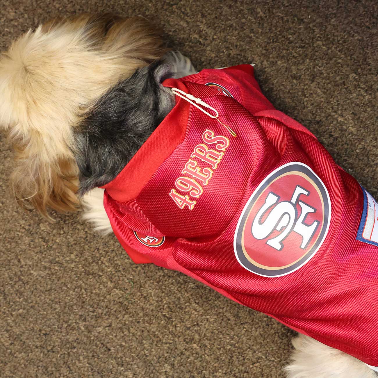 San Francisco 49ers Pet Jersey - Game-Day Ready Pet Attire