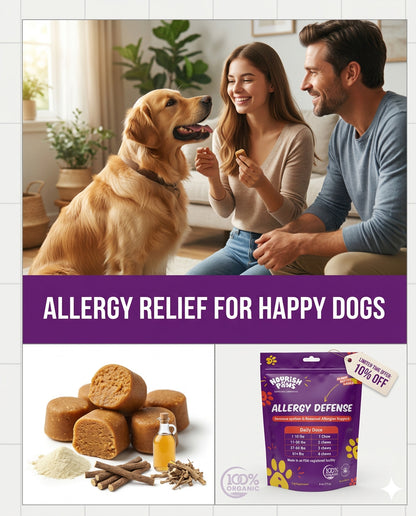 Organic Allergy Defense 60 count Pouch