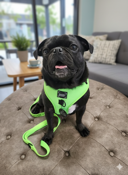 Dog Adjustable Harness – Neon Green