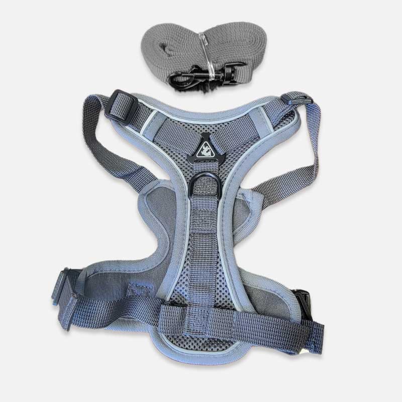 Adjustable Dog Harness with Leash Set – Secure & Comfortable Fit