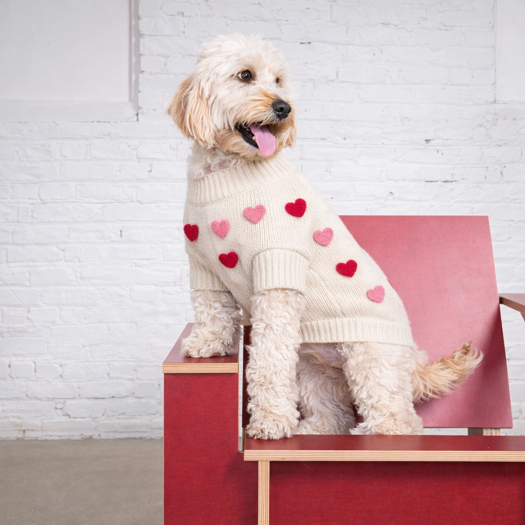 Found My Animal Heart Sweater