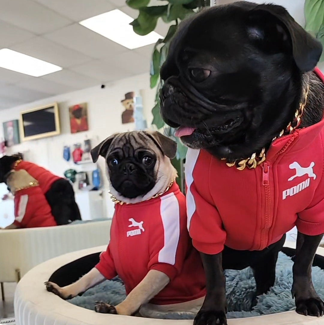 Puma Pet Sweater