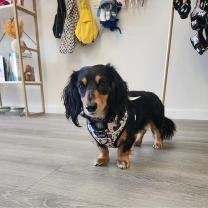 Reversible Harness - The Nightmare Before Christmas™