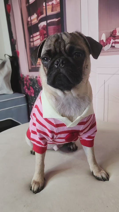 Found My Animal Heart Polo Dog Sweater