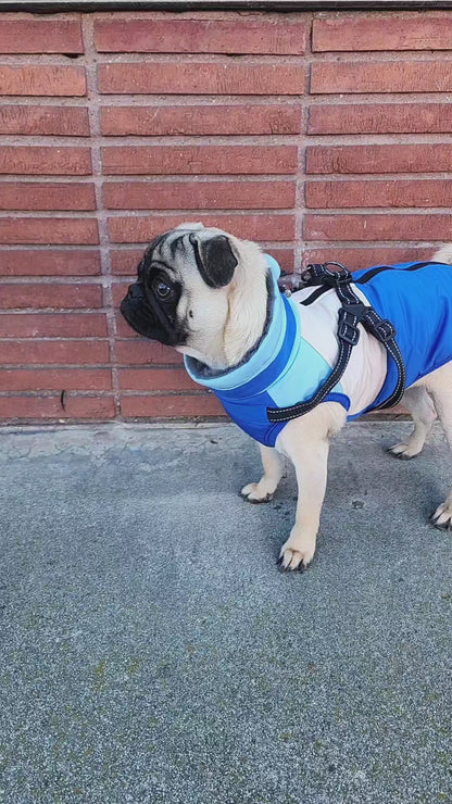 Waterproof Cotton-Padded Dog Vest – Warm Breathable Outdoor Pet Jacket