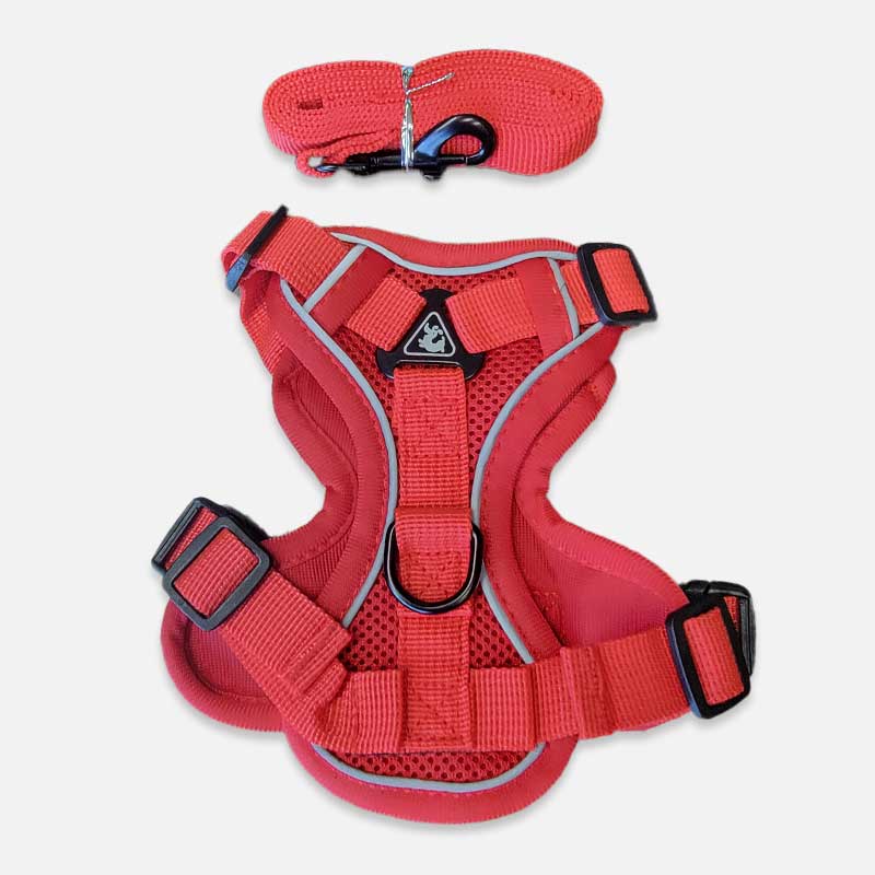 Adjustable Dog Harness with Leash Set – Secure & Comfortable Fit