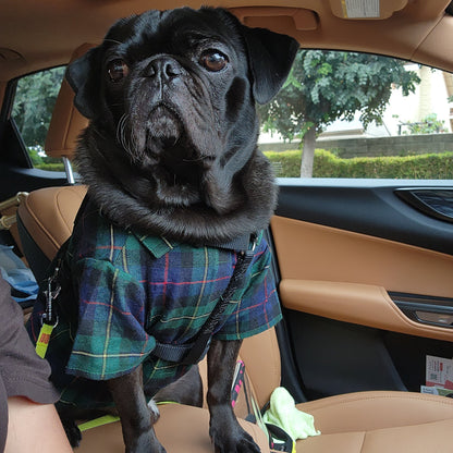 Macleod Tartan Dog Shirt