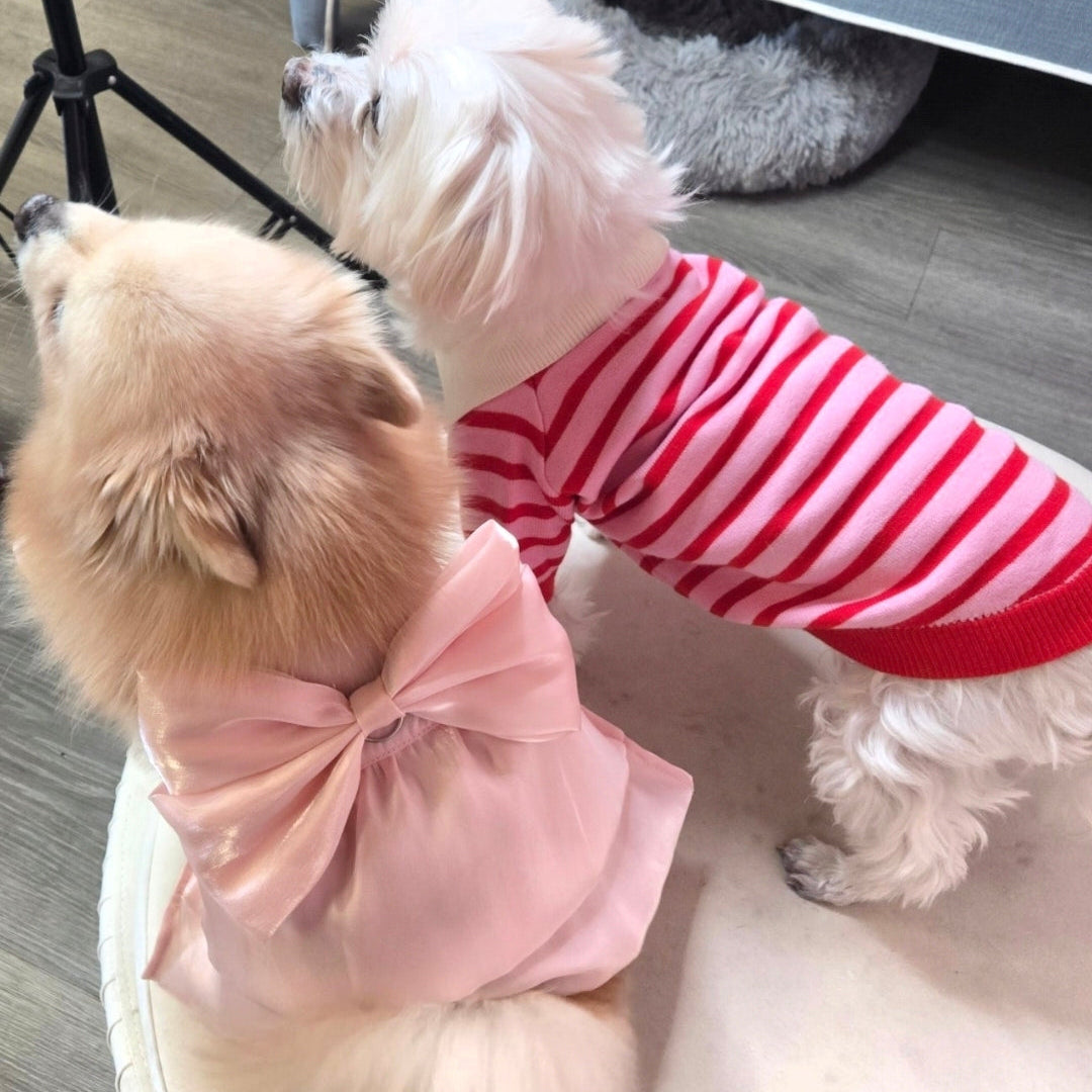 Luxury Dog Dress with Bow – Elegant Satin Layered Princess Pet Dress